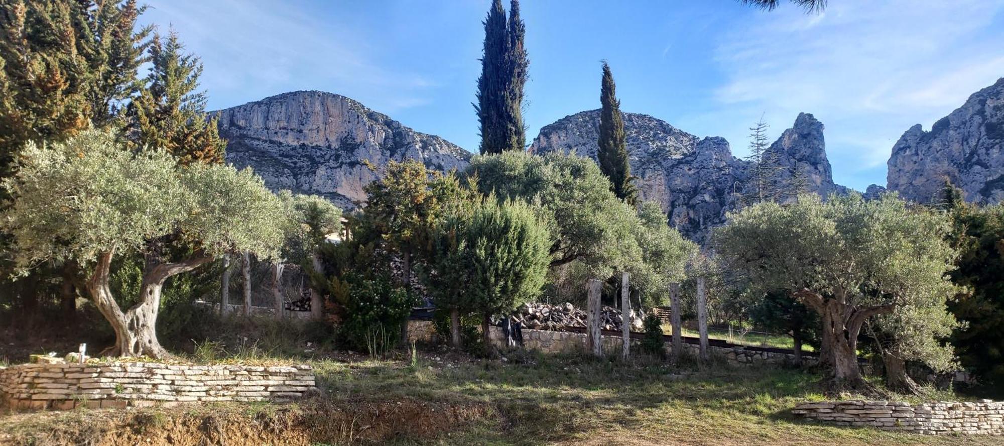 Les Claux Des Oliviers Moustiers-Sainte-Marie
